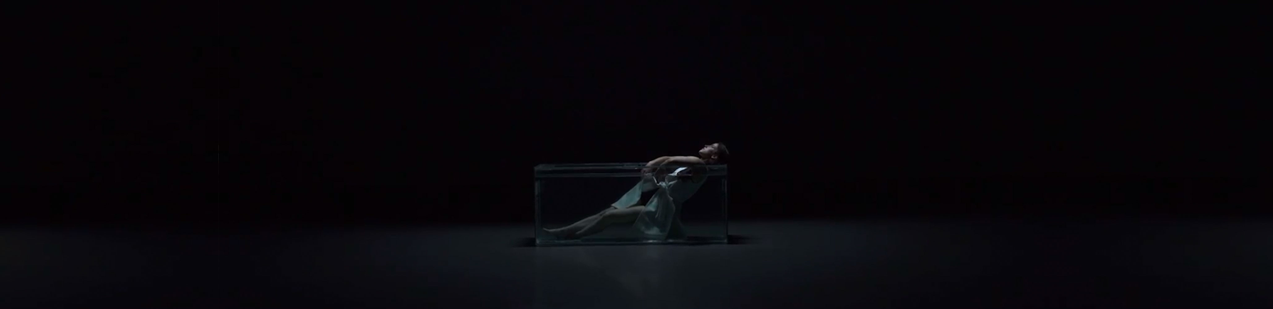 interactive smartphones show